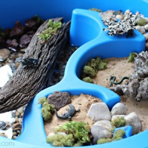 Reptile Small World and Sensory Play
