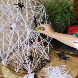 Spider Learning and Fine Motor Table