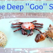 deepgoosea