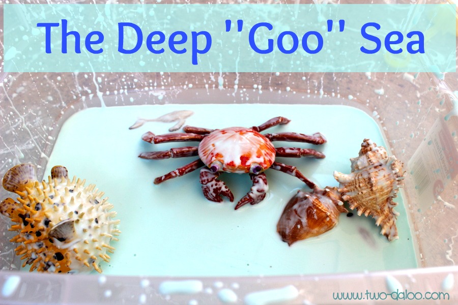 deepgoosea