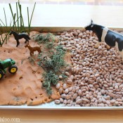 Small World Farm @ Twodaloo