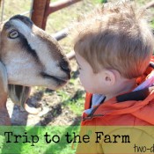 Our Trip to the Farm by Twodaloo (www.two-daloo.com)