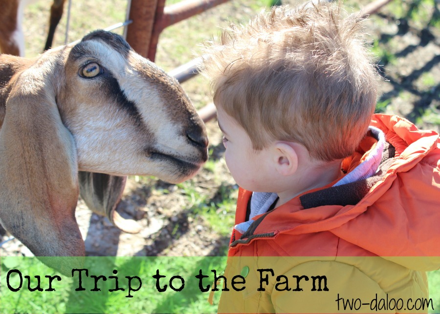 Our Trip to the Farm by Twodaloo (www.two-daloo.com)