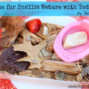 snailstitle