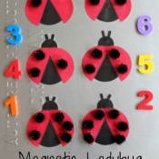 ladybugtitle