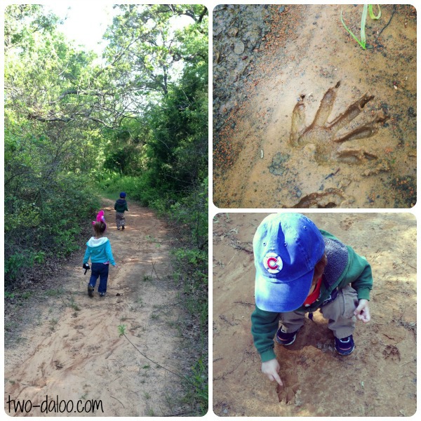 Painted Nature Collage- a fun toddler art activity at Twodaloo