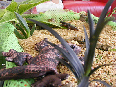 Creative Playhouse Reptile Small World