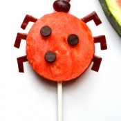 ladybug1