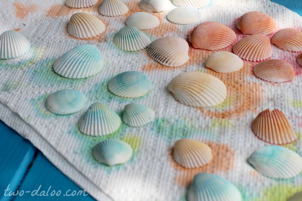 Dyed seashell collage at Twodaloo
