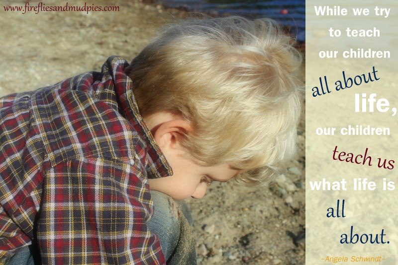Inspirational Quote from Fireflies and Mudpies