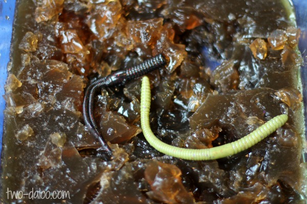 Dirt and worms coffee gelatin sensory play at Twodaloo
