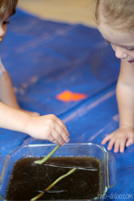 Dirt and worms coffee gelatin sensory play at Twodaloo