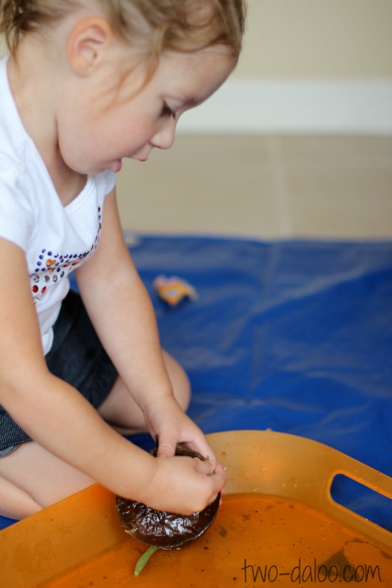 Dirt and worms coffee gelatin sensory play at Twodaloo