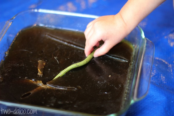 Dirt and worms coffee gelatin sensory play at Twodaloo
