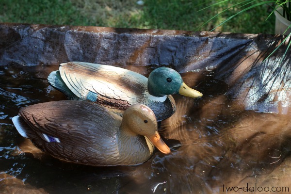 Giant Duck Pond World at Twodaloo