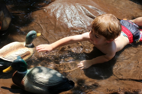 Giant Duck Pond World at Twodaloo