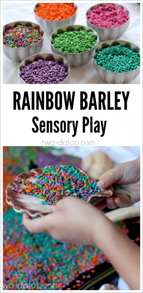 Rainbow Barley Sensory Play