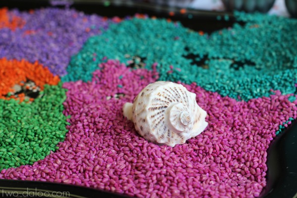Rainbow Barley Sensory Play
