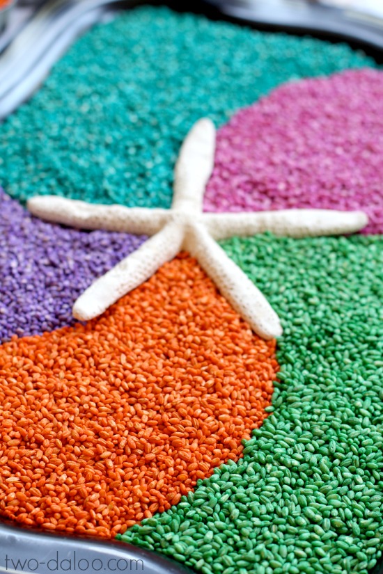 Rainbow Barley Sensory Play