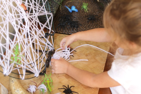 Spider Learning Table Spider Learning Table