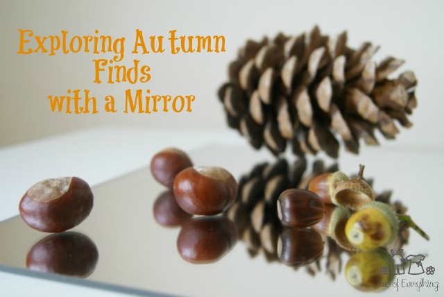 Exploring Autumn Finds with a Mirror- Two of Everything