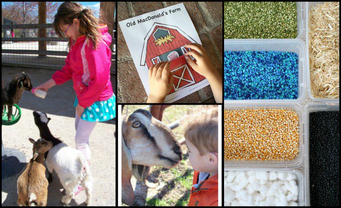 Farm Activities for Kids