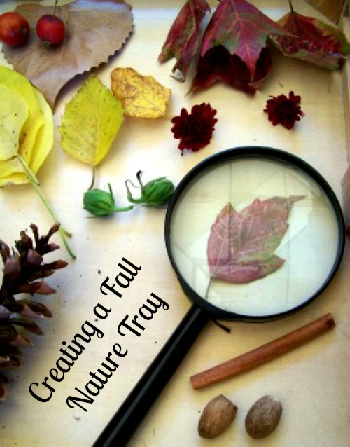Fall nature tray by KC Edventures