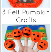 feltpumpkincrafts