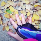 handleaves