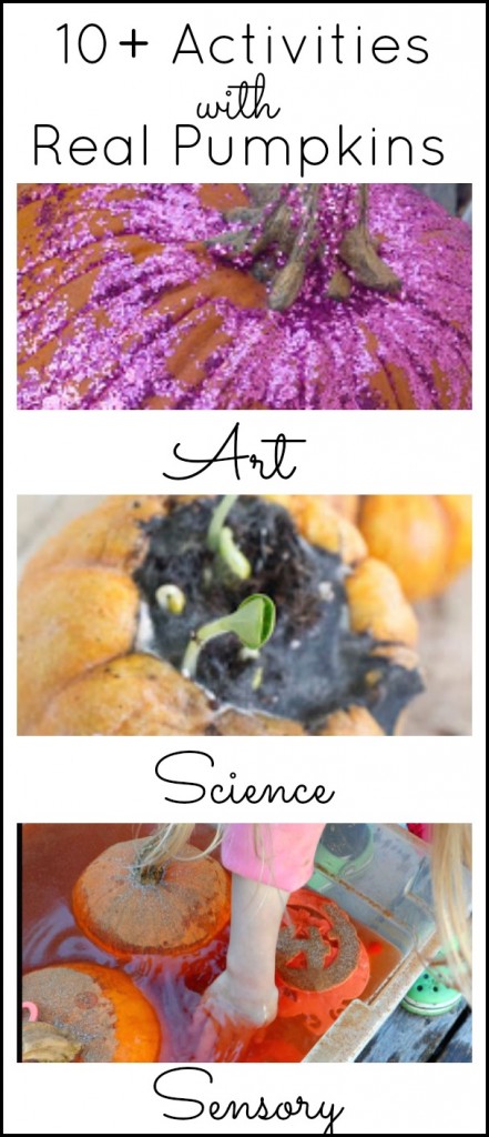 10+ Play and Learning Activities with Real Pumpkins for Young Kids