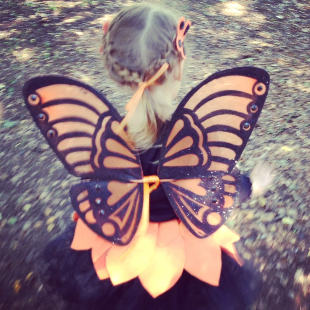 sydbutterfly