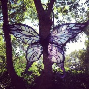 wingstree