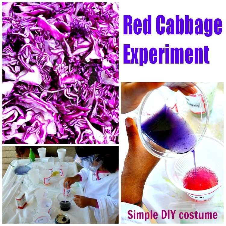 Red Cabbage Experiment from Blog Me Mom