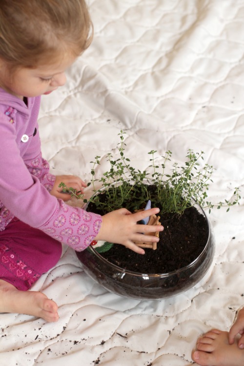 Make A Fairy Terrarium (product review)