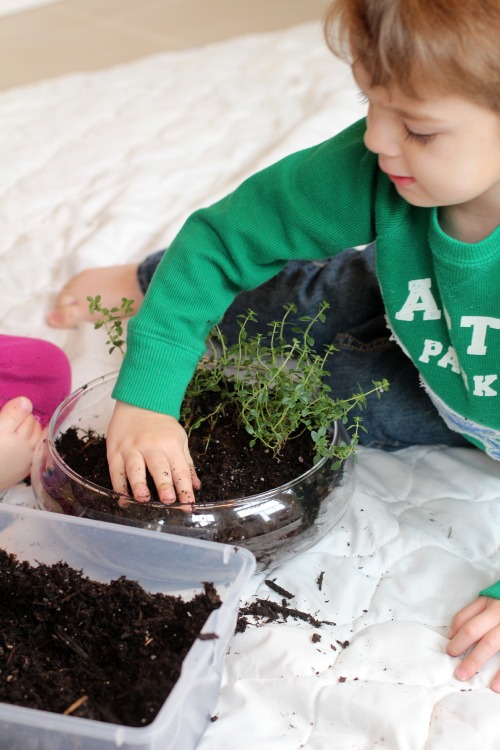 Make A Fairy Terrarium (product review)