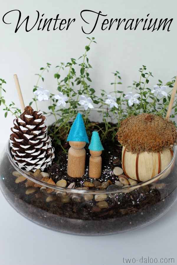 Make A Fairy Terrarium (product review)