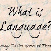 language pin