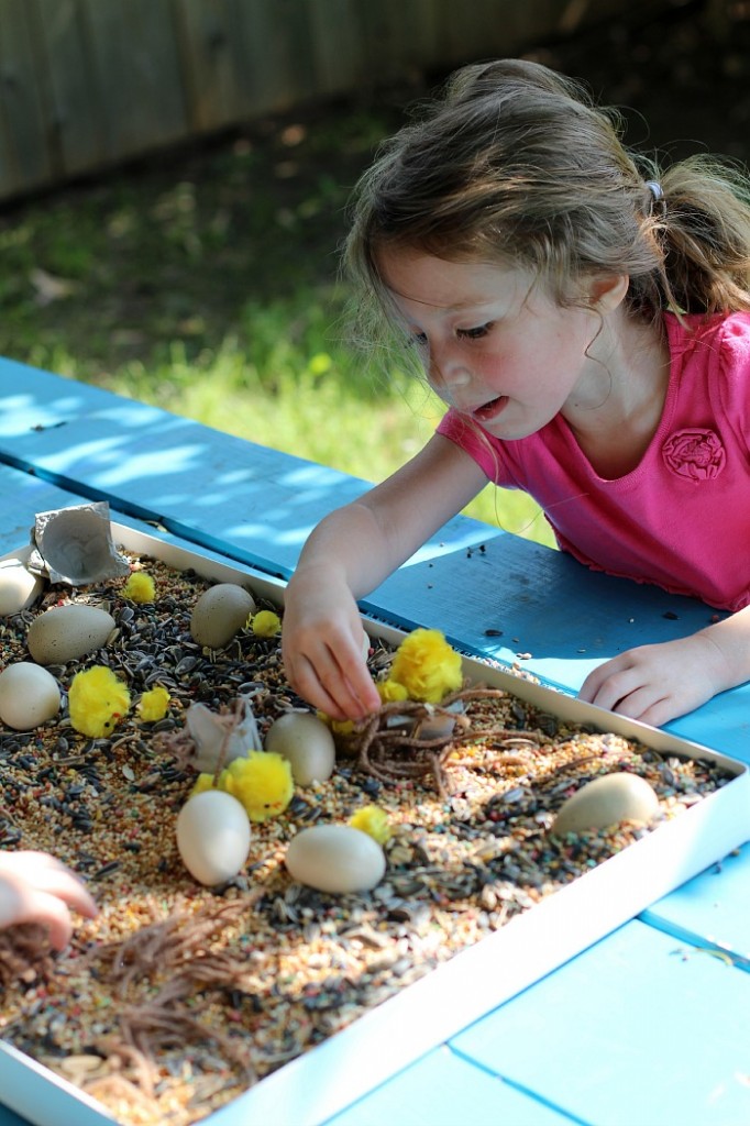 Playing with seeds and chicks sensory bin Playing with seeds and chicks sensory bin