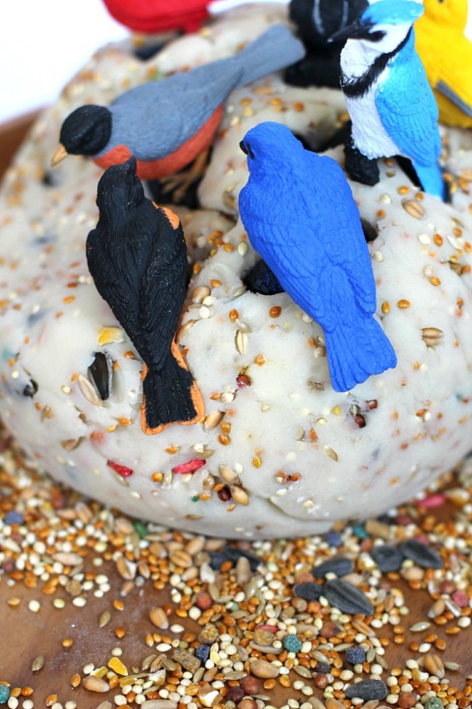 Safari Ltd. birds on birdseed playdough