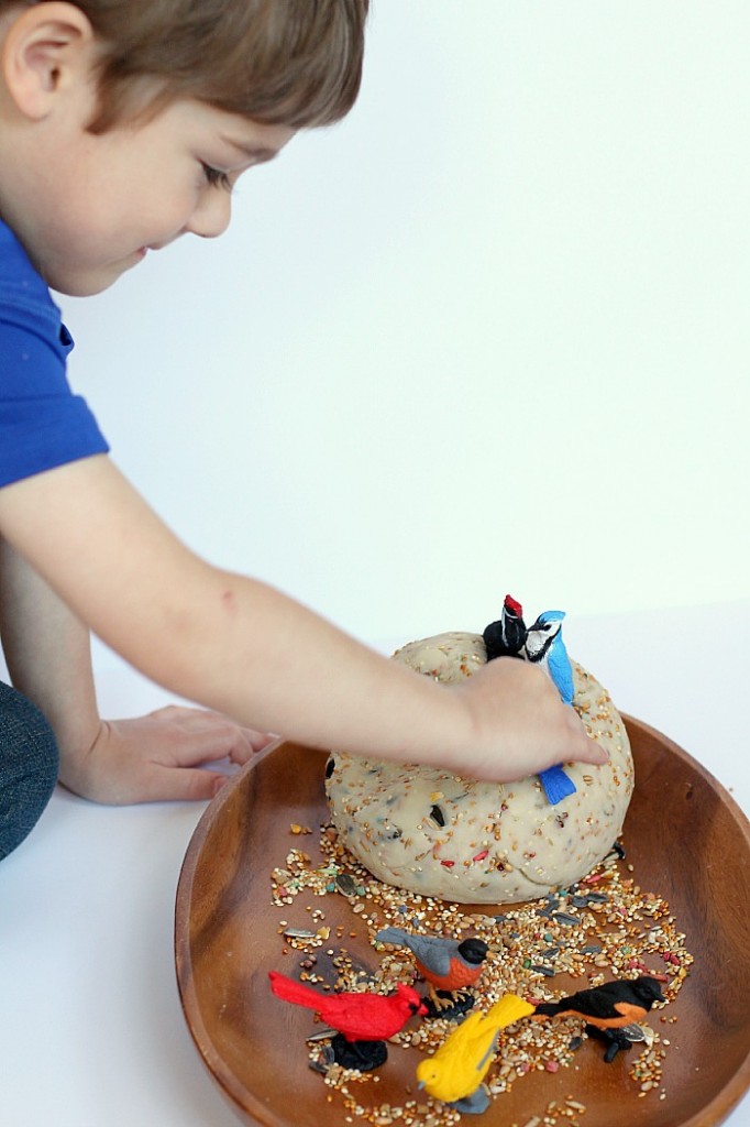 Litte boy enjoying birdseed playdough